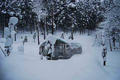 ハウスの回りも雪がたまりました。
