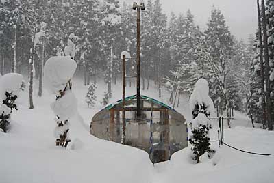 ハウスの回りを除雪することにしました。