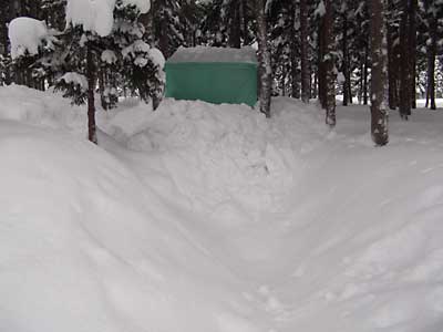 雪室にも雪がいっぱいになってきました。