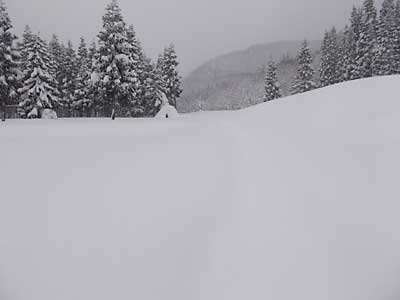 今日は雪室にユンボで雪入れをしました。