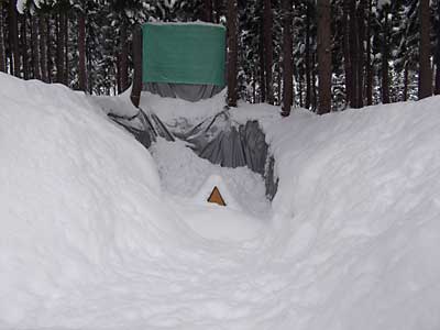 雪室の雪はまだ足りませんが、結構雪が積もってきました。