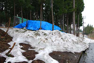 こちらはユンボ小屋の裏の雪室です。