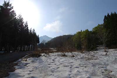 杉林の近くは、春と冬の切り替えの風景です。