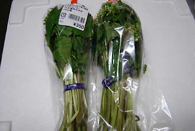 道の駅で、花ワサビを購入して来ました。