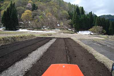 お天気が良かったので、トラクターの運転は快適です。