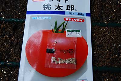 高級感漂う桃太郎の種です。