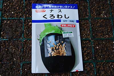 こちらは米なすの種です。