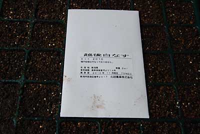 こちらは越後の白ナスです。