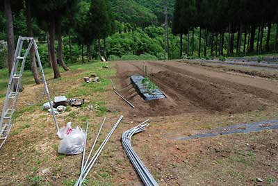 トマトハウス（屋根掛け）作りをしました。