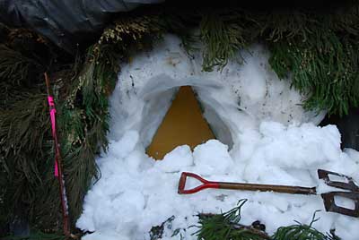 ５０ｃｍほど雪を掘ると保管庫が出て来ました。