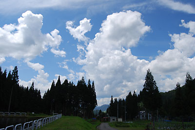 今日も夏空が広がっています。