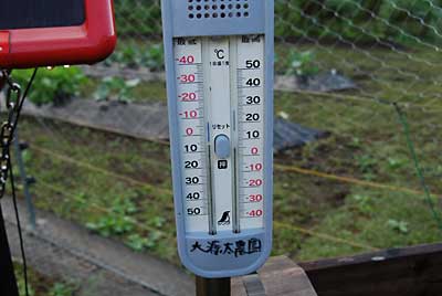 今朝の気温は、５℃まで下がりました。