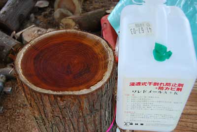 カービングして皿を作りワレドメールA＋K液を注ぎ込みました。