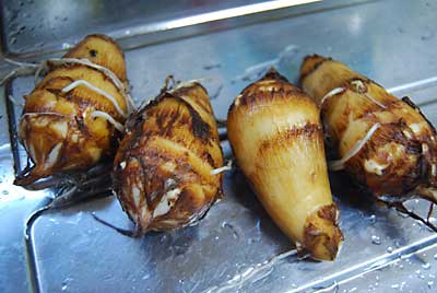 土垂れ芋を試し掘りしてみました。