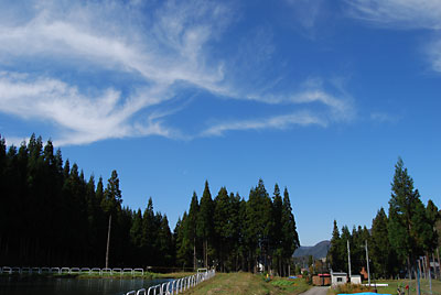 秋空がきれいでした。