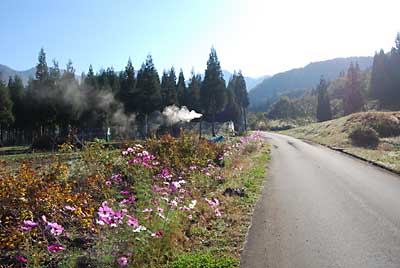 今日もとっても良いお天気です。