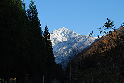 大源太農園からの大源太山は、こんな感じです。