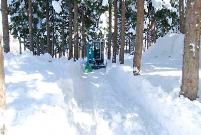 行者ニンニク畑の除雪をしました。