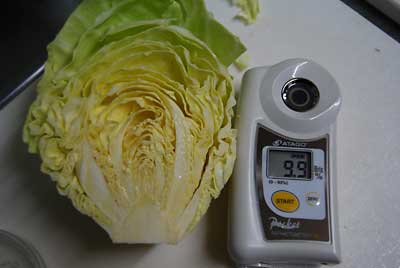あまだまキャベツの糖度は９．９度でした。
