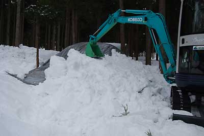 風で飛ばないようシートのまわりにユンボで雪を乗せました。