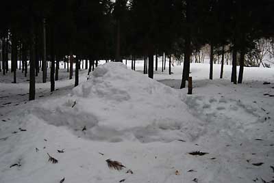 短期用の雪室です。