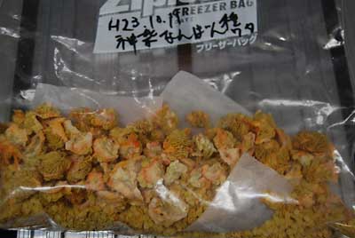 昨日、入れてみた乾燥した神楽なんばんの種とワタです。