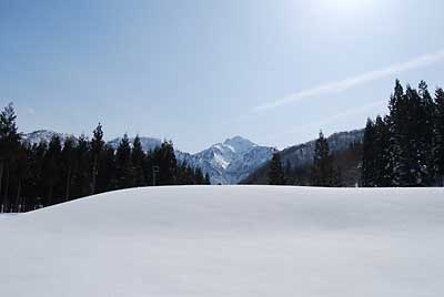 昨日は雪でしたが、大源太にも春の気配がきています。