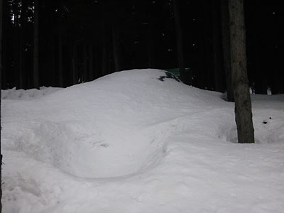 今日の雪室の様子です。