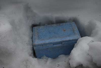 とりあえず家のまわり雪の中に埋めておいて、雪が消えてきたら、杉林の雪室に移す予定です。