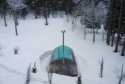 今日もまた雪になりました。