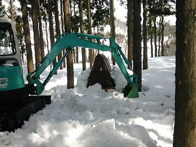 小屋は、雪に２ｍほど埋まっていました。