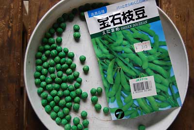 まずは、早生枝豆の「宝石枝豆」です。