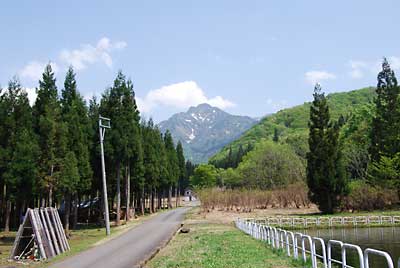 今日は朝から快晴です。