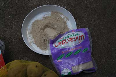 ジャガイモの切り口には、「じゃがいもシリカ」を塗りました。