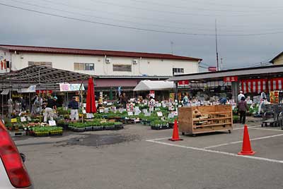 畑の土が乾かないので、十日町のホームセンターのムラヤマまで行って来ました。