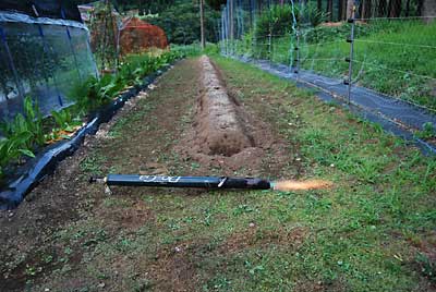 バーナーでの除草までしか出来ませんでした。