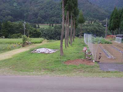 畑の周り下り側の草刈り前です。