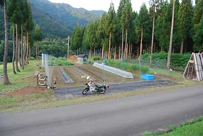 雑草が大きくなって泣きそうだった大源太農園でしたがようやく目途がたって来ました。