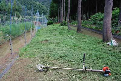 とりあえず終了しました。