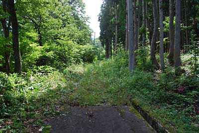 今年初めての草刈りなので、草だらけです。
