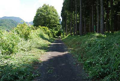 サッパリしましたよ～。