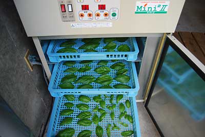 さっそく、乾燥機にかけてみることにしました。