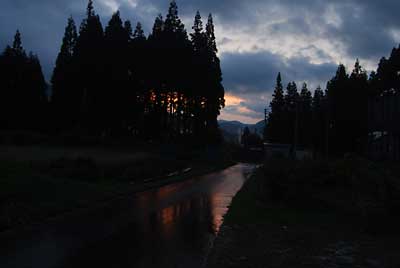 夕方、恵みの夕立がきてくれました。