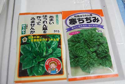 ホウレンソウは、雪に当てると甘くなるという２種類を植える予定です。