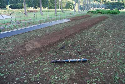 今朝、１時間ほどかかってバーナー除草が完了しました。