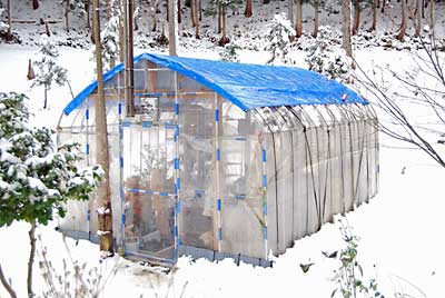 ハウスの屋根の雪が良く滑るように新しいブルーシートを張りました。