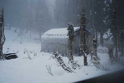 今晩、大雪が降るかもしれないのでハウスの薪ストーブを点火しました。