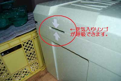 雪室に入れた野菜には、この呼吸穴がキーポイントみたいに思います。
