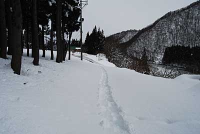夕方近くになって、雪室までスノーシューを履いて行って来ました。