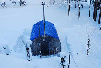 お天気が良かったのでハウスの廻りの雪掘りをしました。